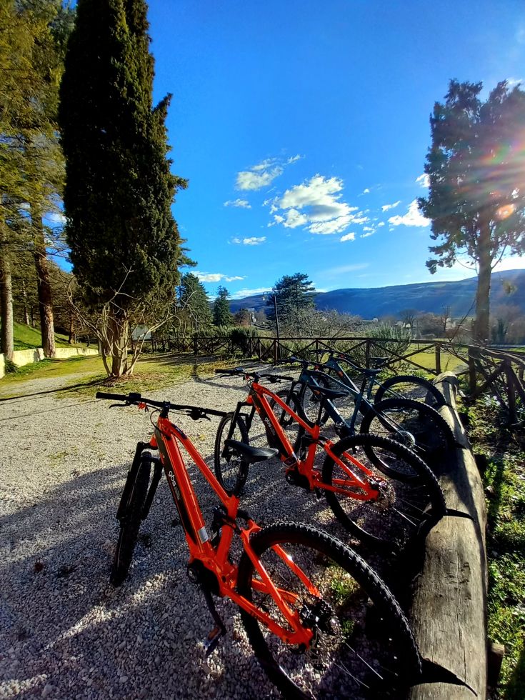 A group of red mountain bikes placed on a wooden walkway surrounded by vegetation.