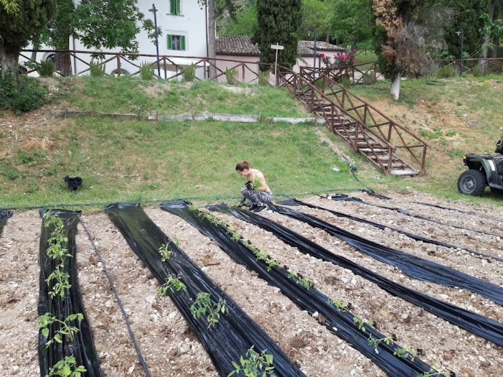 A person tends to plants in a field with a farmhouse in the background, showcasing a connection to the land.