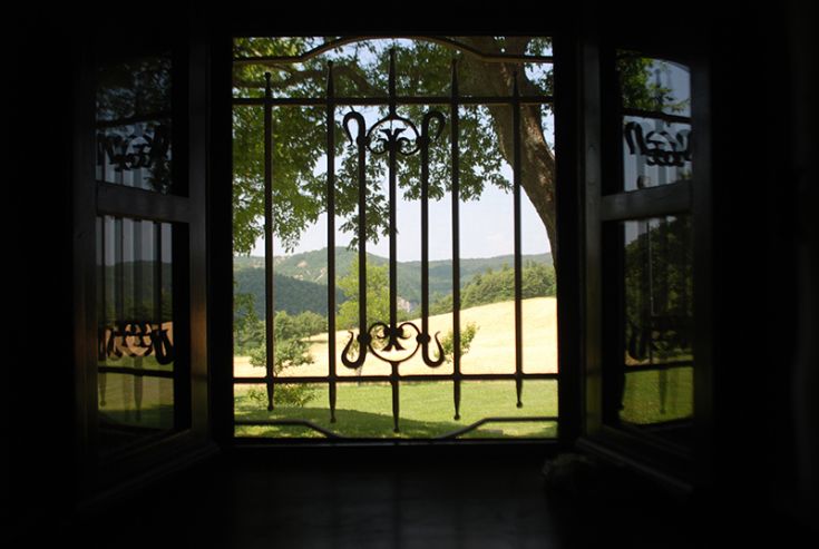 Vue depuis une fenêtre montrant un paysage de collines vertes et d'arbres.
