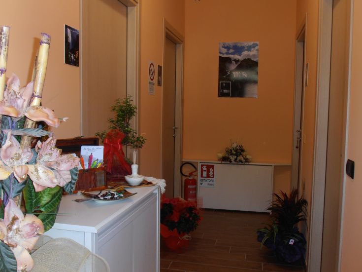 Corridoio semplice con decorazioni sobrie e piante decorative, che crea un ambiente rilassante.