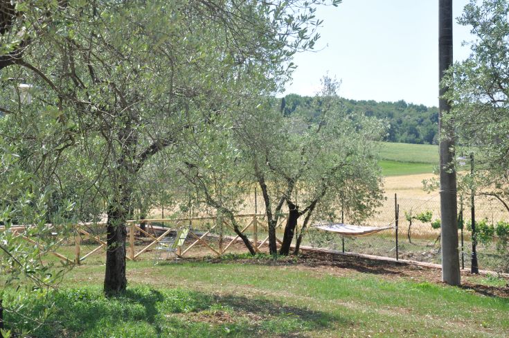 A peaceful farm scene surrounded by trees and vast grassy areas, perfect for relaxing and learning.