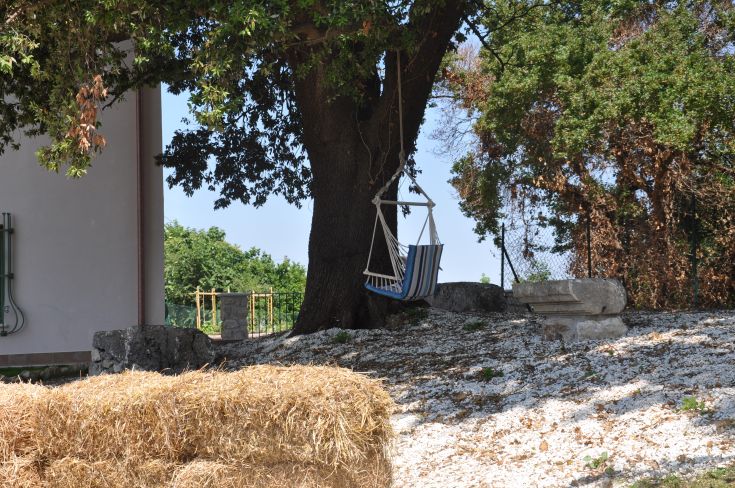 A peaceful countryside spot featuring a hammock strung between two trees, perfect for unwinding.