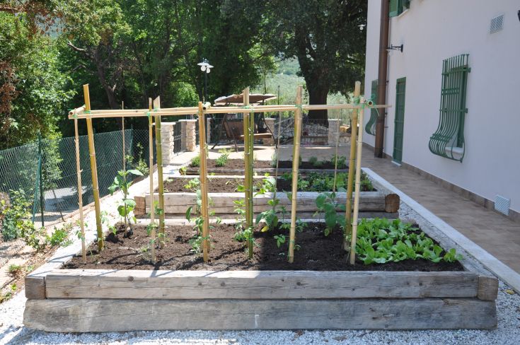 A tidy vegetable garden with green plants and wooden supports, set in a natural environment.