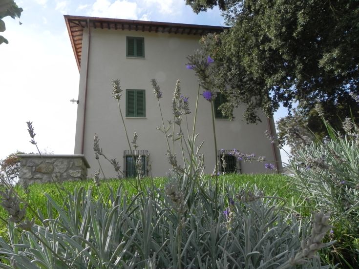 Farm surrounded by lavender plants in the Umbrian countryside, featuring a cozy building.