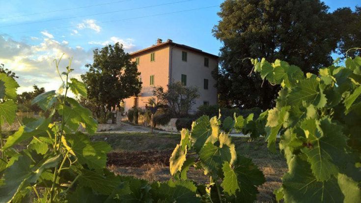 The Res Nova farm, surrounded by lush greenery and vineyards that shape the landscape.