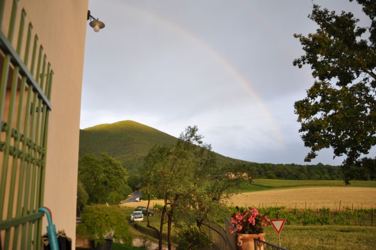 A scenic view of lush green hills recently washed by rain, featuring a house and colorful flowers in the foreground.