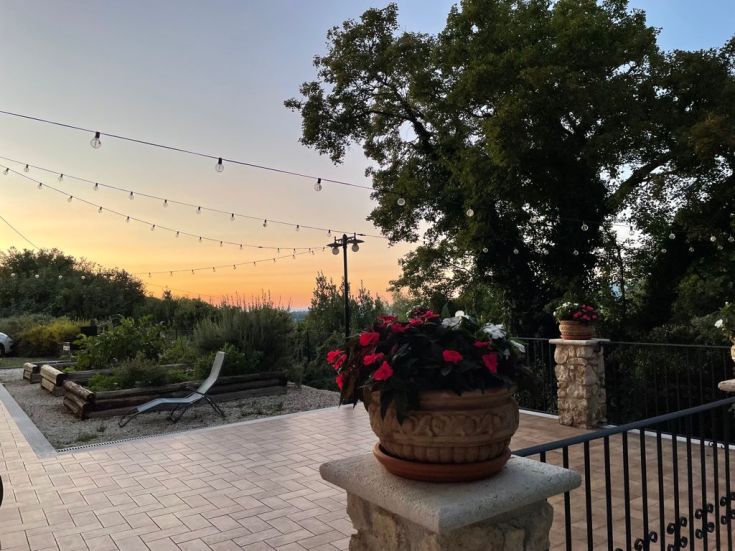 Sunset over a farm with colorful flowers and dim lights, creating a peaceful and natural atmosphere.