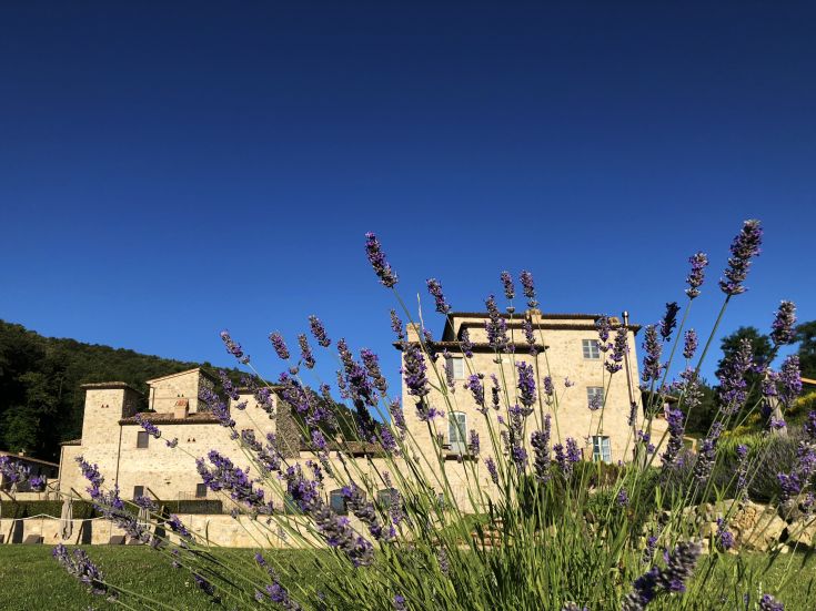 A charming medieval village surrounded by greenery, with lavender plants visible in the foreground.