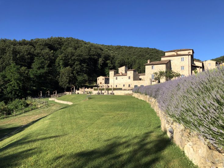A peaceful medieval village surrounded by greenery, adorned with lavender plants.