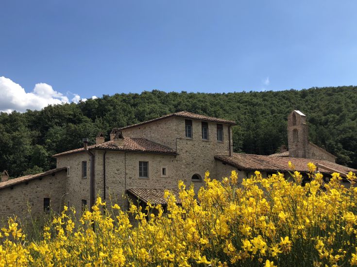 A serene place where natural elements blend with local architecture, perfect for relaxation.