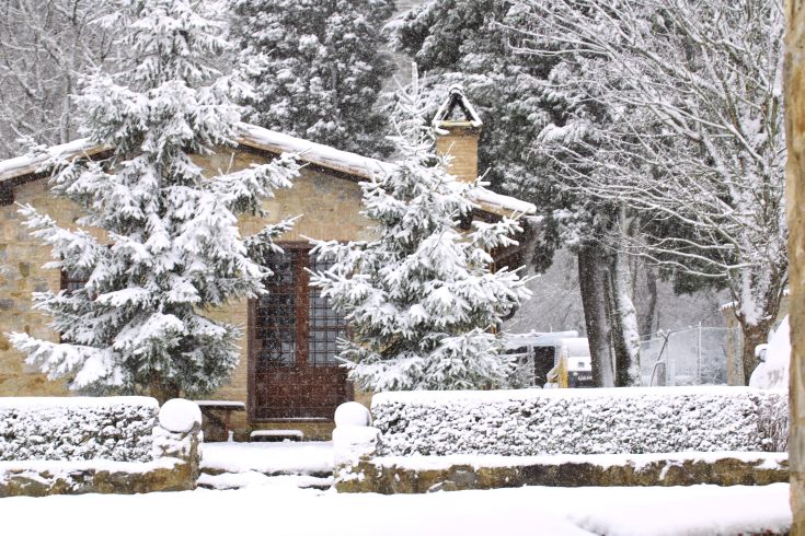 A snow-covered house surrounded by snow-laden trees conveys a serene and simply pleasant atmosphere.