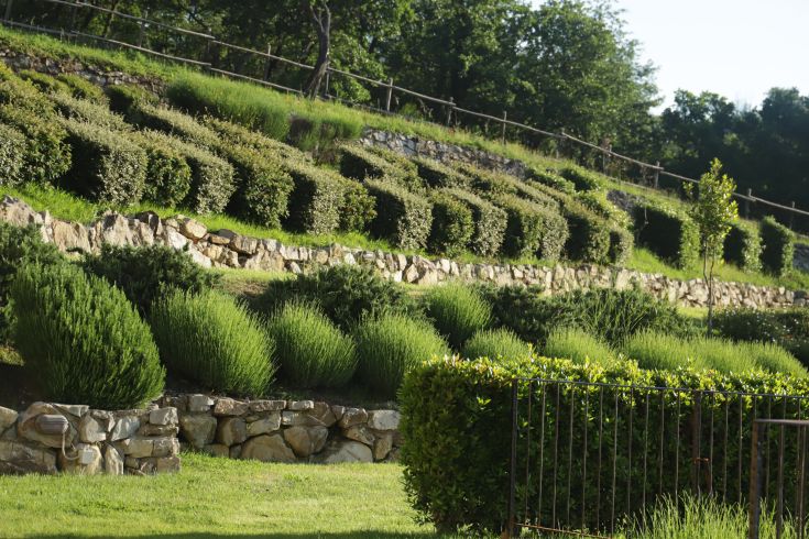 Well-kept garden with green plants placed among stones, creating a natural and serene environment.