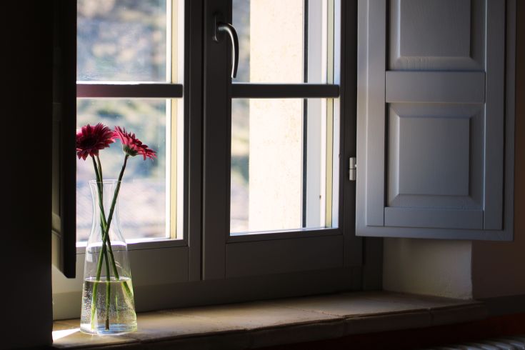 Sunlight illuminates a pot of pink flowers on a windowsill, creating a serene atmosphere.