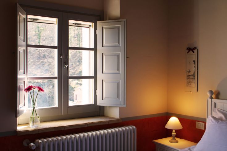 Cozy interior seen through a window, decorated simply with plants and soft natural light.