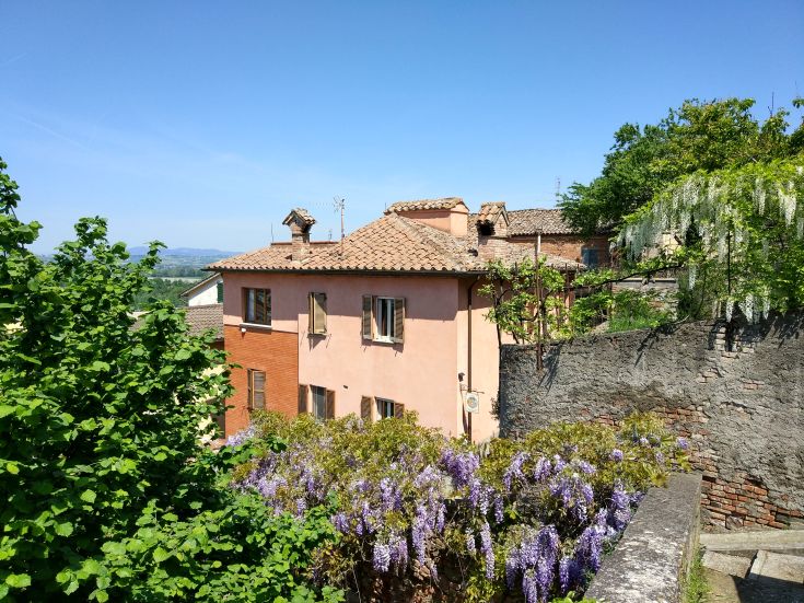 Picturesque village scene with houses surrounded by flowers and typical Umbrian countryside vegetation.