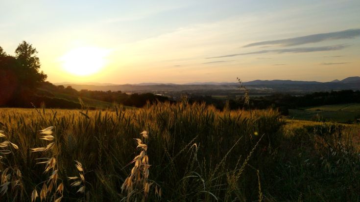 A serene sunset reflects on green hills, creating a calm and pleasant atmosphere.