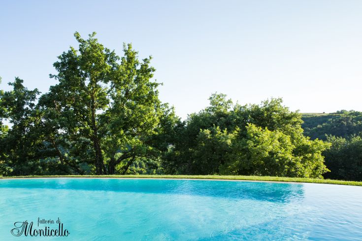 A pool surrounded by greenery, providing a peaceful spot for relaxation.