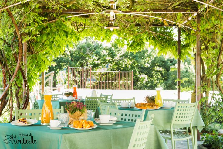 Relax at Monticello Farm, surrounded by the greenery and tranquility of the Umbrian countryside.