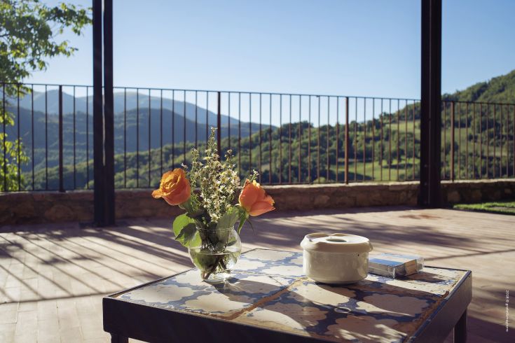 A composition of fresh flowers on a table with a view of the surrounding mountain nature.