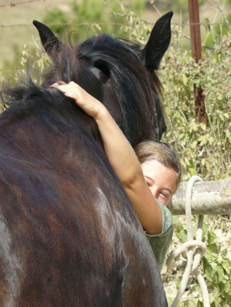 Ein Kind hält liebevoll ein Pferd in einer ruhigen natürlichen Umgebung.