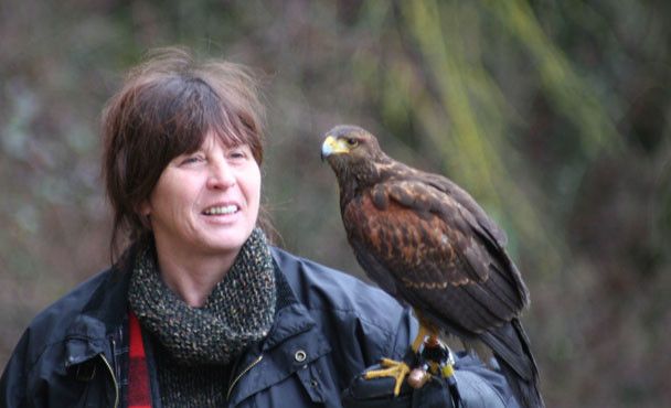 Eine Frau lächelt, während sie einen Falken auf ihrem Handschuh in einem grünen Bereich hält, umgeben von Natur.