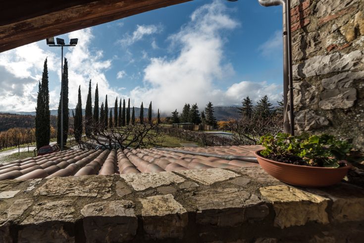Scena umbra caratterizzata da cipressi, nuvole e un ambiente rurale tranquillo.