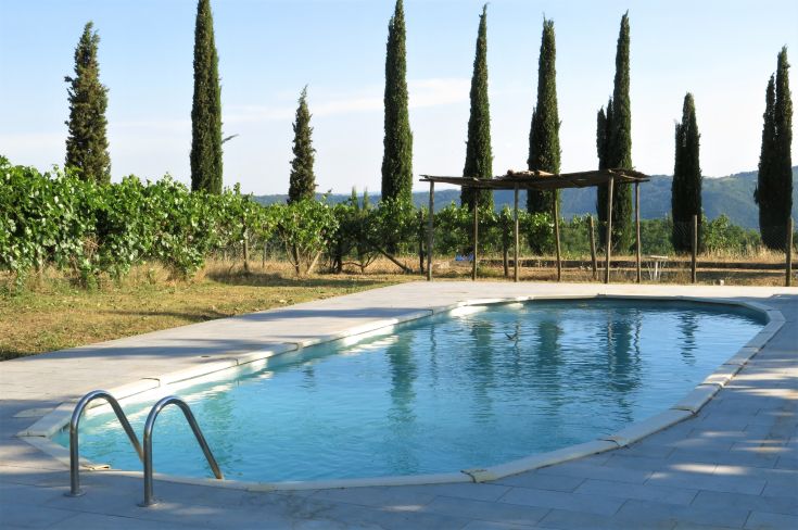 Piscina incastonata nel paesaggio umbro, circondata da vigneti e filari di cipressi.