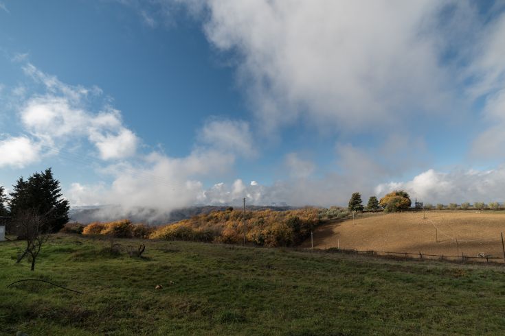 Scena di campagna umbra con cielo nuvoloso e alberi dai colori autunnali.