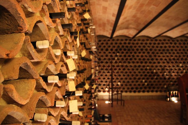 A cellar scene with bottles of wine arranged on brick shelves.