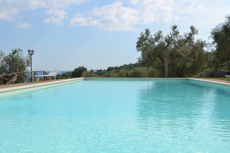 Una piscina pulita circondata da uliveti e un panorama tranquillo sulla campagna.