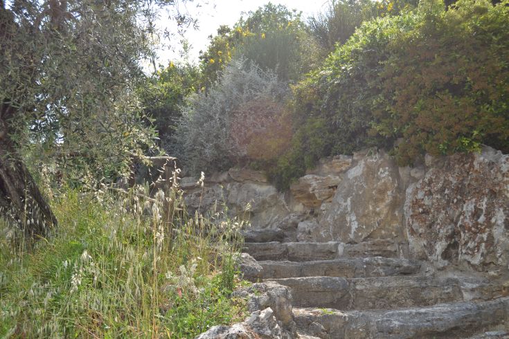 Panorama della Tenuta Pizzogallo, con sentieri che si snodano tra ulivi e vegetazione verde.