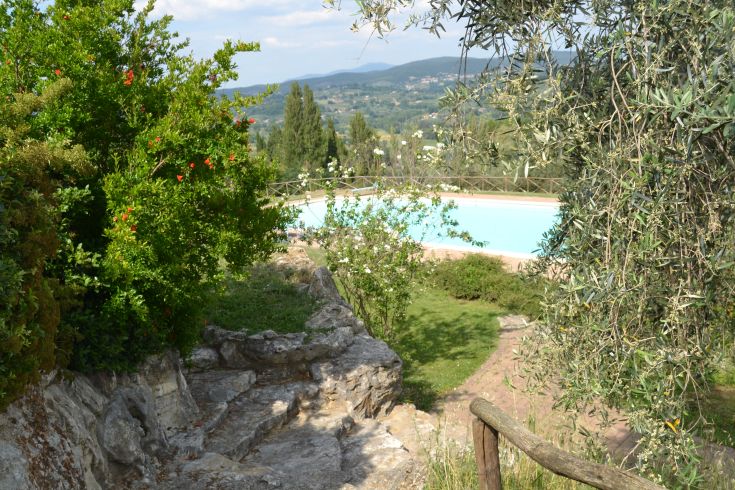 Piscina situata in un ambiente verde, circondata da piante e alberi. Un luogo di serenità.