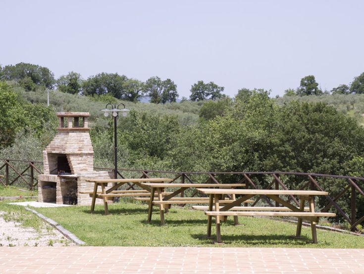 An outdoor green area with barbecue and tables, surrounded by trees and vegetation.