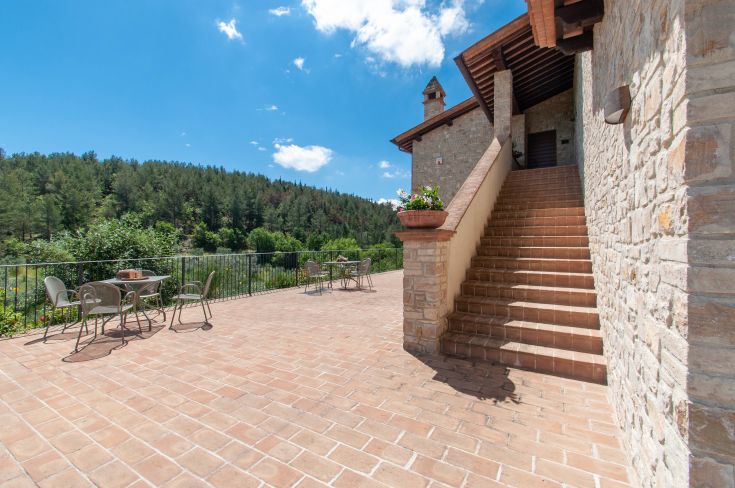 Outdoor area of a farmhouse with tables and plants, surrounded by trees and a clear sky.