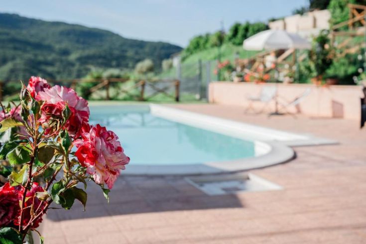 A serene area with a pool surrounded by flowers, set in a natural environment.