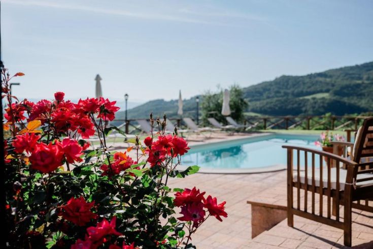 A close-up of a red rose, with a pool in the background, situated in a peaceful natural setting.