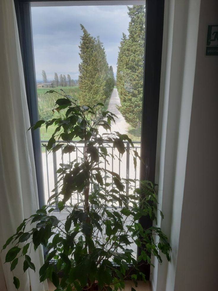 Scena di un agriturismo con ingresso circondato da alberi, accessibile tramite un viale in pietra.