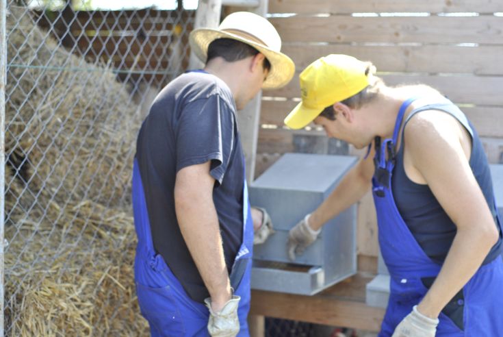 Due uomini lavorano all'interno di un agriturismo, circondati da attrezzature e materiali agricoli.