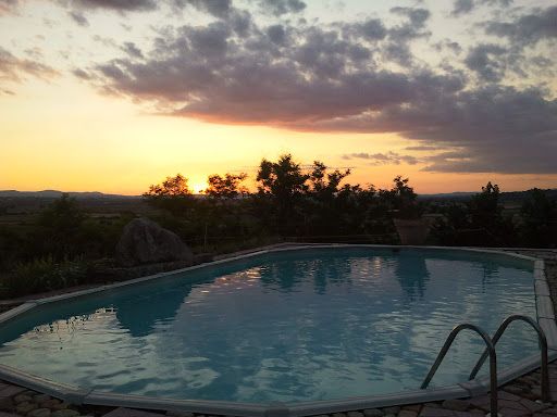 A sunset over a pool surrounded by greenery, capturing a serene moment in a natural setting.