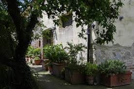 A house surrounded by lush greenery, perfect for moments of relaxation and tranquility.