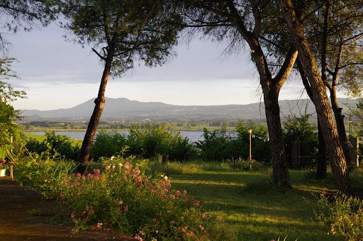 View of Lake Montepulciano surrounded by greenery, a relaxing spot immersed in nature.