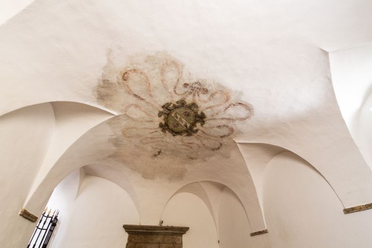 Soffitto decorato con un motivo floreale in un edificio storico.