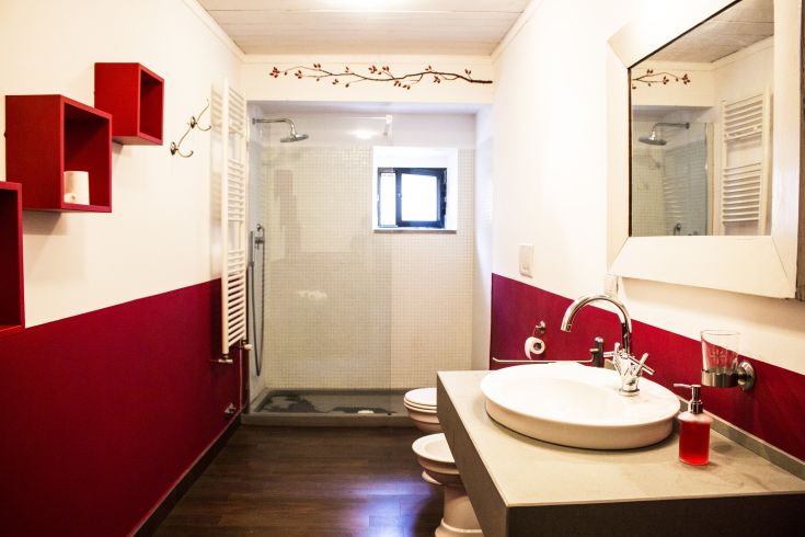Bagno con pareti bianche e dettagli rosso, dotato di doccia e lavabo. Design semplice e funzionale.