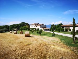 Un casale in campagna immerso nel verde, circondato da prati e balle di fieno sotto un cielo sereno.