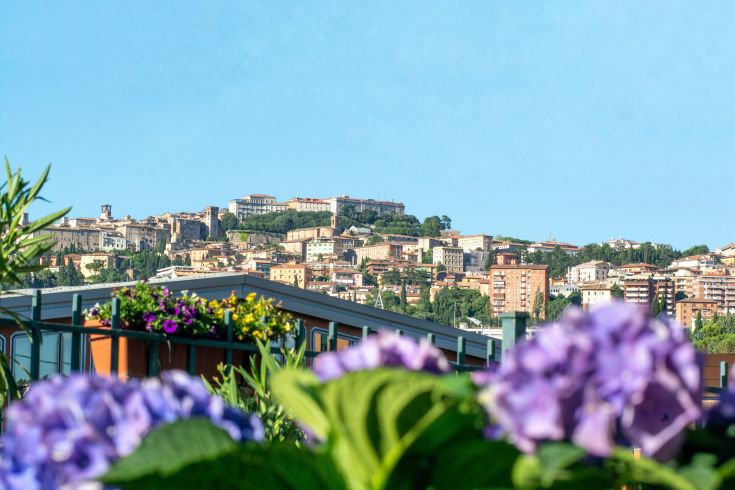 Scene of a village with colorful flowers in the foreground, characterized by a calm and sunny atmosphere.