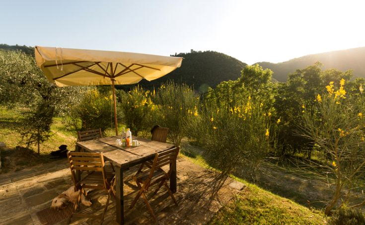 Ein Tisch im Freien unter einem Sonnenschirm, umgeben von Grün, schafft einen ruhigen Ort zum Entspannen.