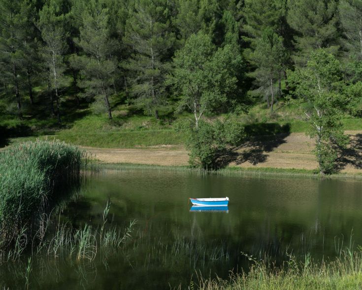 Ein Sommersee, umgeben von Natur, mit Bäumen und einem blauen Boot, das für den Sommer vor Anker liegt.