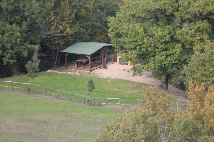 Ein grüner Bereich mit Bänken und Tischen, ideal um ruhige Momente im Freien zu genießen.