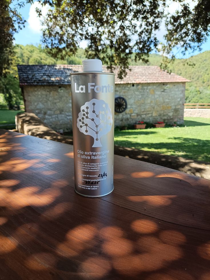 Verpackung von italienischem nativem Olivenöl, das in einer natürlichen und ruhigen Umgebung platziert ist.