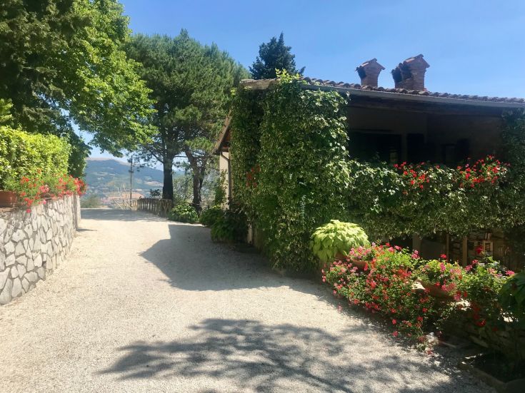Panorama di un agriturismo circondato da vegetazione, con fiori e un vialetto in pietra.